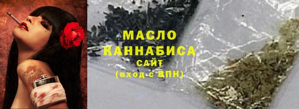 дмт Медногорск