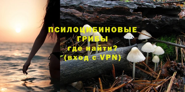 дмт Медногорск