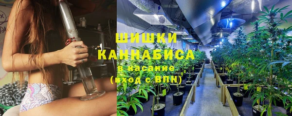 2c-b Мегион