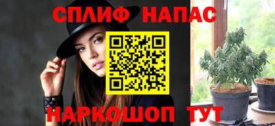 прущие грибы Малгобек