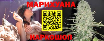 прущие грибы Малгобек